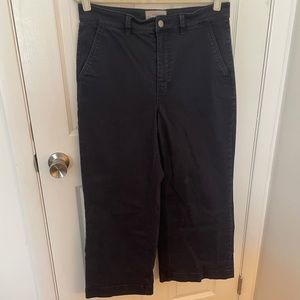 Everlane Wide Leg Crop in navy